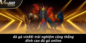 Đá Gà VIN88