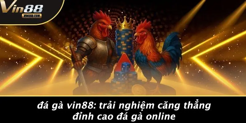 Đá Gà VIN88