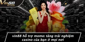 VIN88 Hỗ Trợ Momo